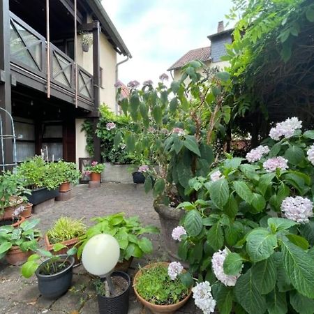 ויינהיים Apartment Gerberbachviertel מראה חיצוני תמונה