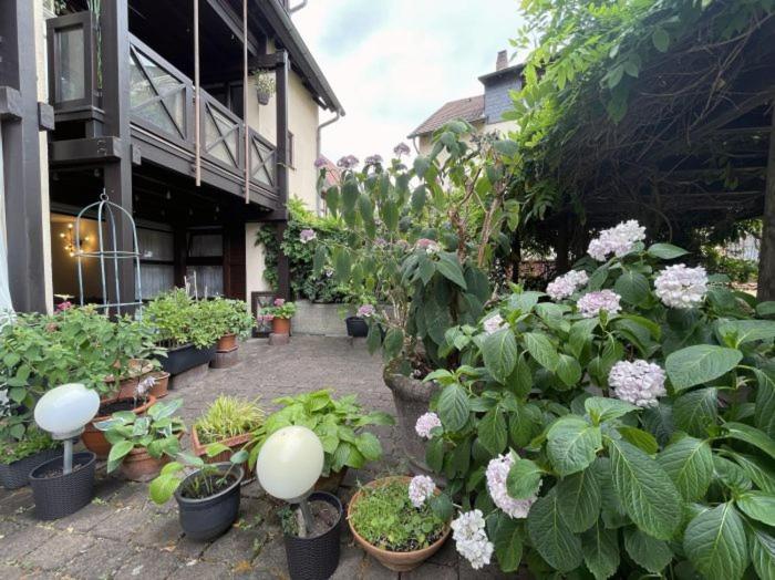 ויינהיים Apartment Gerberbachviertel מראה חיצוני תמונה