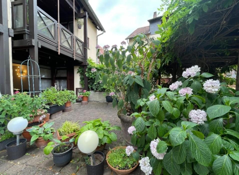 ויינהיים Apartment Gerberbachviertel מראה חיצוני תמונה